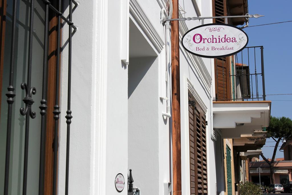 Orchidea Rooms & Suites Civitanova Marche Exteriör bild
